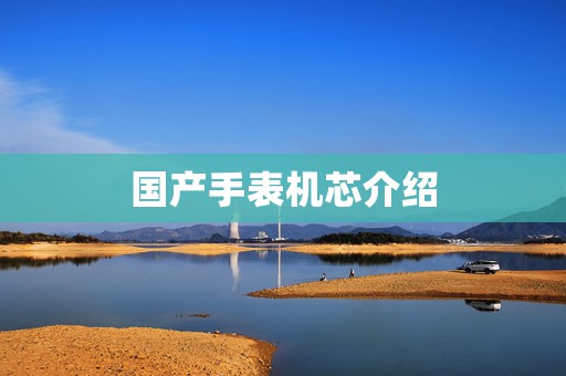 國產(chǎn)手表機芯介紹