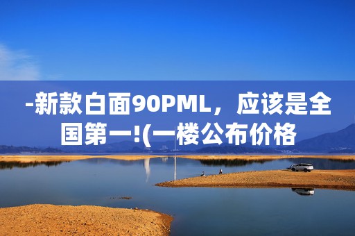 -新款白面90PML，應(yīng)該是全國第一!(一樓公布價(jià)格