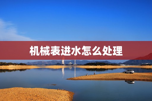 機(jī)械表進(jìn)水怎么處理