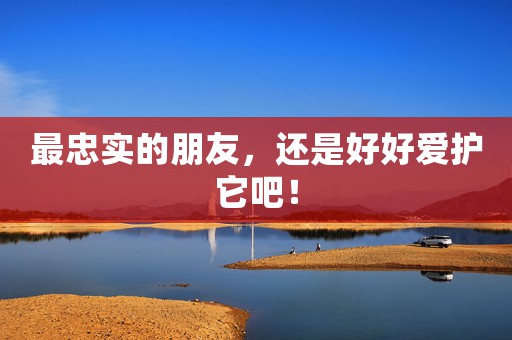 最忠實(shí)的朋友，還是好好愛(ài)護(hù)它吧！