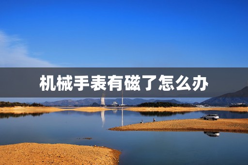 機(jī)械手表有磁了怎么辦