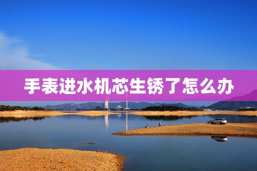 手表進(jìn)水機(jī)芯生銹了怎么辦