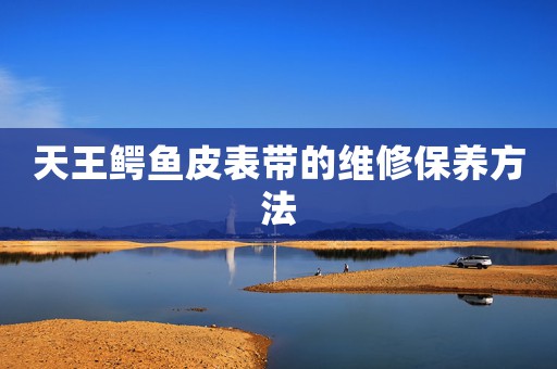 天王鱷魚皮表帶的維修保養(yǎng)方法