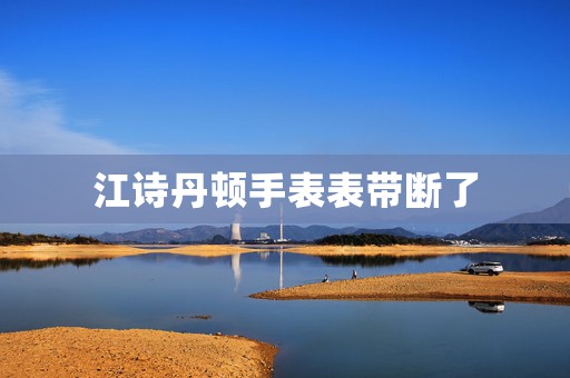江詩丹頓手表表帶斷了