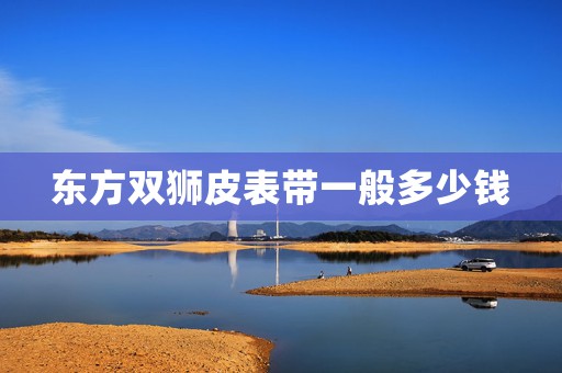東方雙獅皮表帶一般多少錢