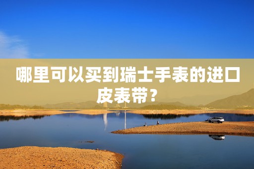 哪里可以買到瑞士手表的進口皮表帶？