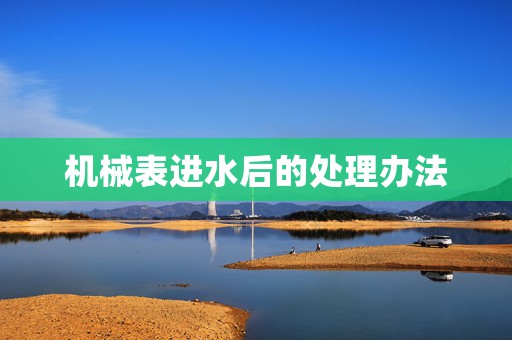 機械表進水后的處理辦法