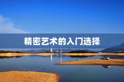 精密藝術(shù)的入門選擇