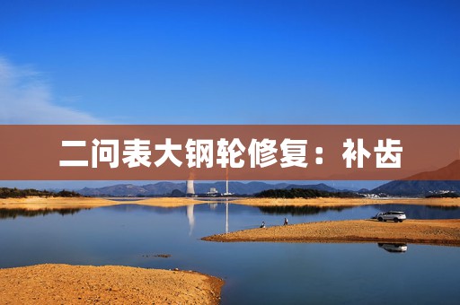 二問表大鋼輪修復(fù)：補(bǔ)齒