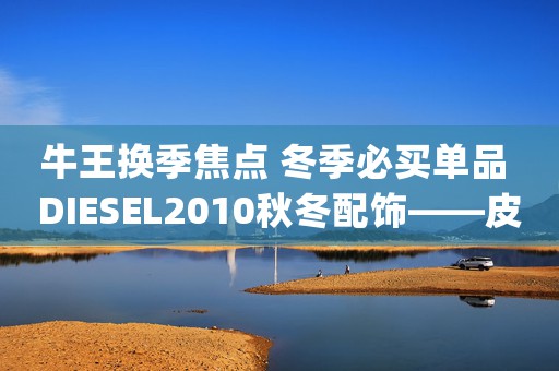 牛王換季焦點(diǎn) 冬季必買單品 DIESEL2010秋冬配飾——皮帶(組圖)