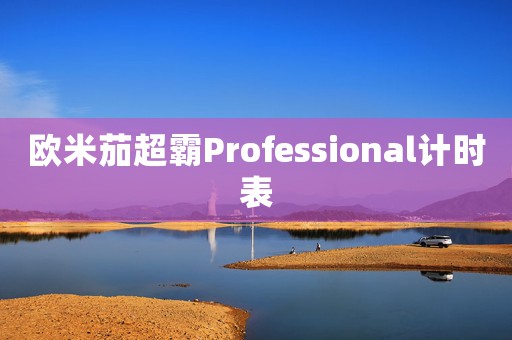 歐米茄超霸Professional計(jì)時(shí)表