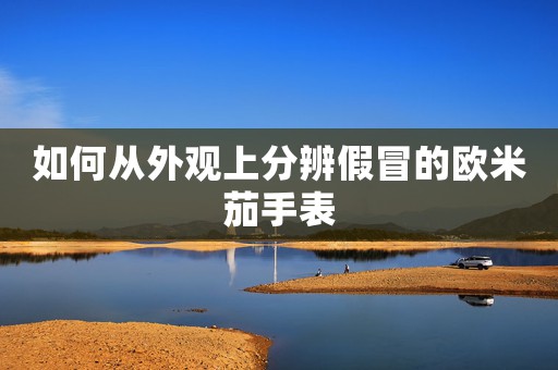 如何從外觀上分辨假冒的歐米茄手表