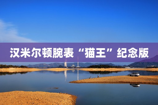 漢米爾頓腕表“貓王”紀(jì)念版