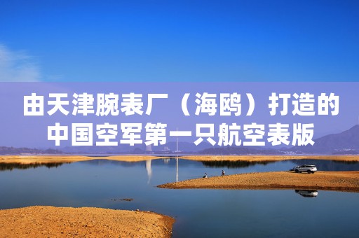 由天津腕表廠（海鷗）打造的中國空軍第一只航空表版