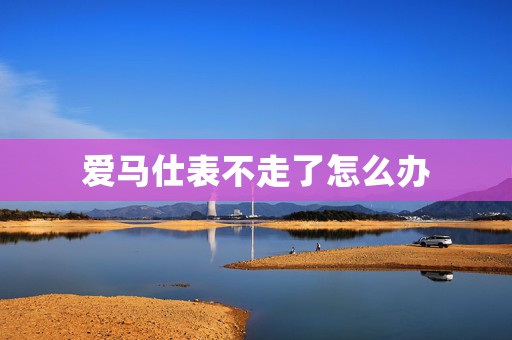 愛(ài)馬仕表不走了怎么辦