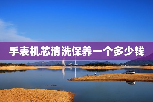 手表機(jī)芯清洗保養(yǎng)一個(gè)多少錢