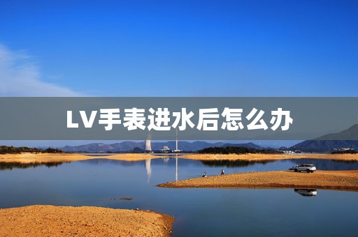 LV手表進(jìn)水后怎么辦