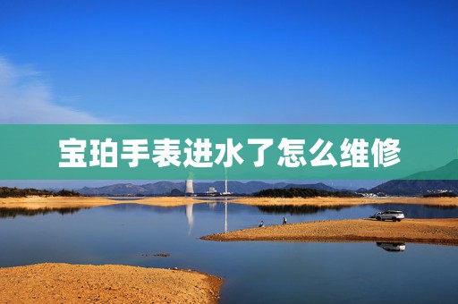 寶珀手表進(jìn)水了怎么維修