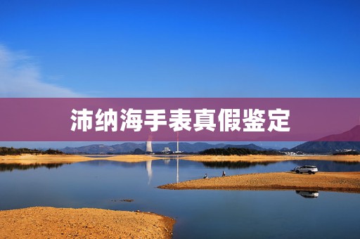 沛納海手表真假鑒定
