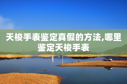 天梭手表鑒定真假的方法,哪里鑒定天梭手表