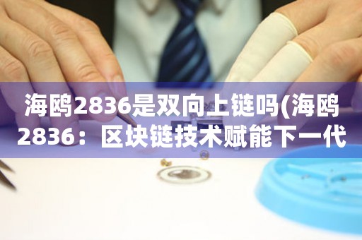 海鷗2836是雙向上鏈嗎(海鷗2836：區(qū)塊鏈技術(shù)賦能下一代智能互聯(lián)網(wǎng))