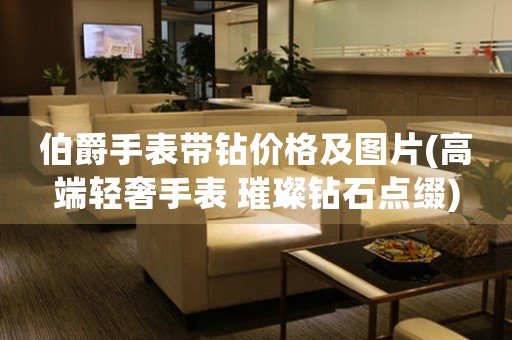 伯爵手表帶鉆價(jià)格及圖片(高端輕奢手表 璀璨鉆石點(diǎn)綴)