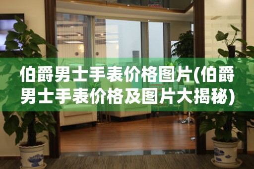 伯爵男士手表價格圖片(伯爵男士手表價格及圖片大揭秘)