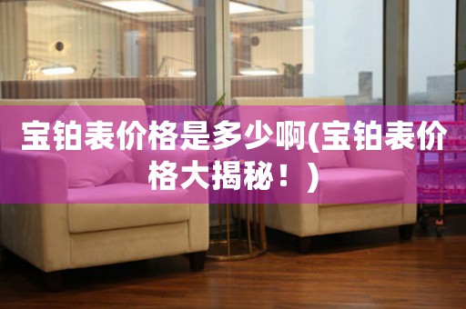 寶鉑表價(jià)格是多少啊(寶鉑表價(jià)格大揭秘！)