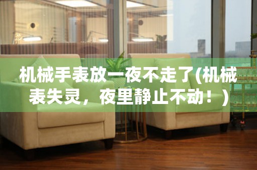 機(jī)械手表放一夜不走了(機(jī)械表失靈，夜里靜止不動！)