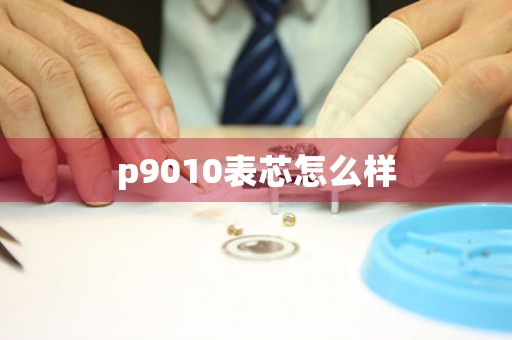 p9010表芯怎么樣