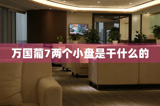 萬國葡7兩個小盤是干什么的