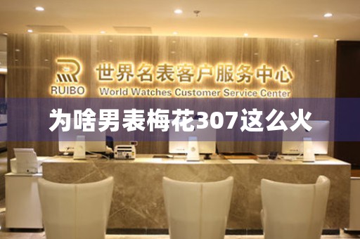 為啥男表梅花307這么火