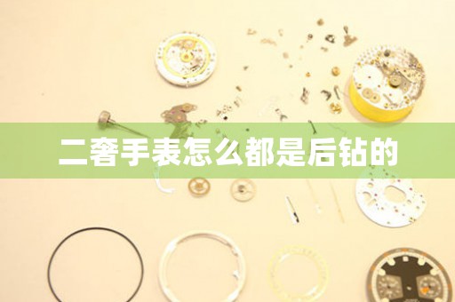 二奢手表怎么都是后鉆的
