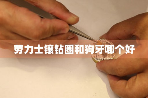 勞力士鑲鉆圈和狗牙哪個好