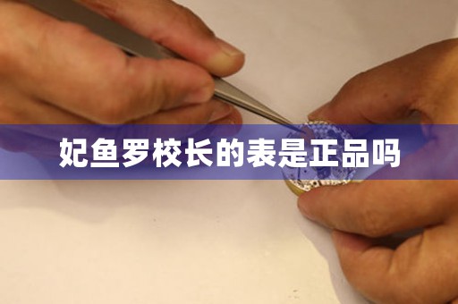 妃魚羅校長的表是正品嗎