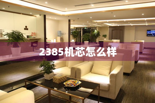 2385機(jī)芯怎么樣