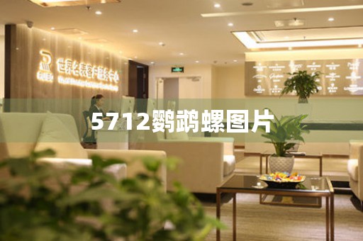 5712鸚鵡螺圖片