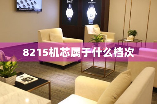 8215機(jī)芯屬于什么檔次