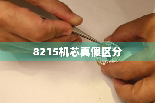 8215機(jī)芯真假區(qū)分