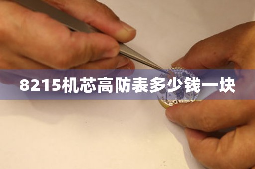 8215機(jī)芯高防表多少錢(qián)一塊