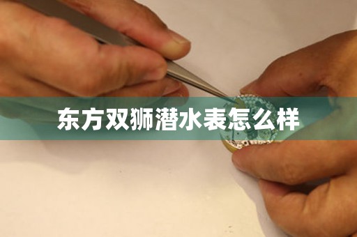 東方雙獅潛水表怎么樣