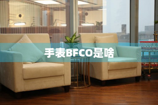 手表BFCO是啥