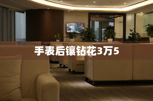 手表后鑲鉆花3萬5