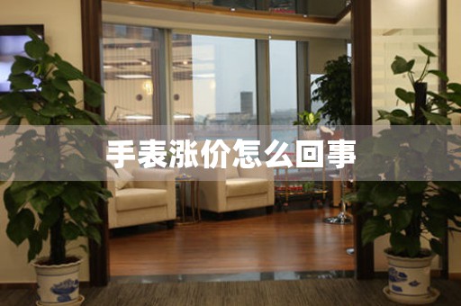 手表漲價怎么回事