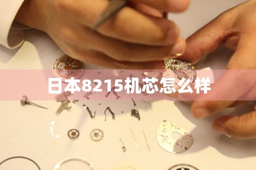 日本8215機芯怎么樣