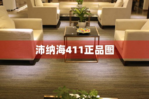 沛納海411正品圖