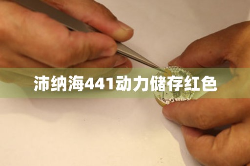 沛納海441動力儲存紅色