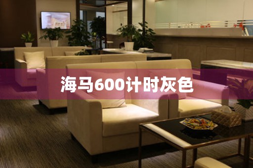 海馬600計時灰色