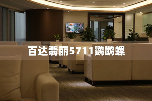 百達(dá)翡麗5711鸚鵡螺