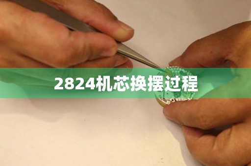 2824機(jī)芯換擺過(guò)程